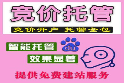 SEM运营公司案例解析：精准广告投放技巧